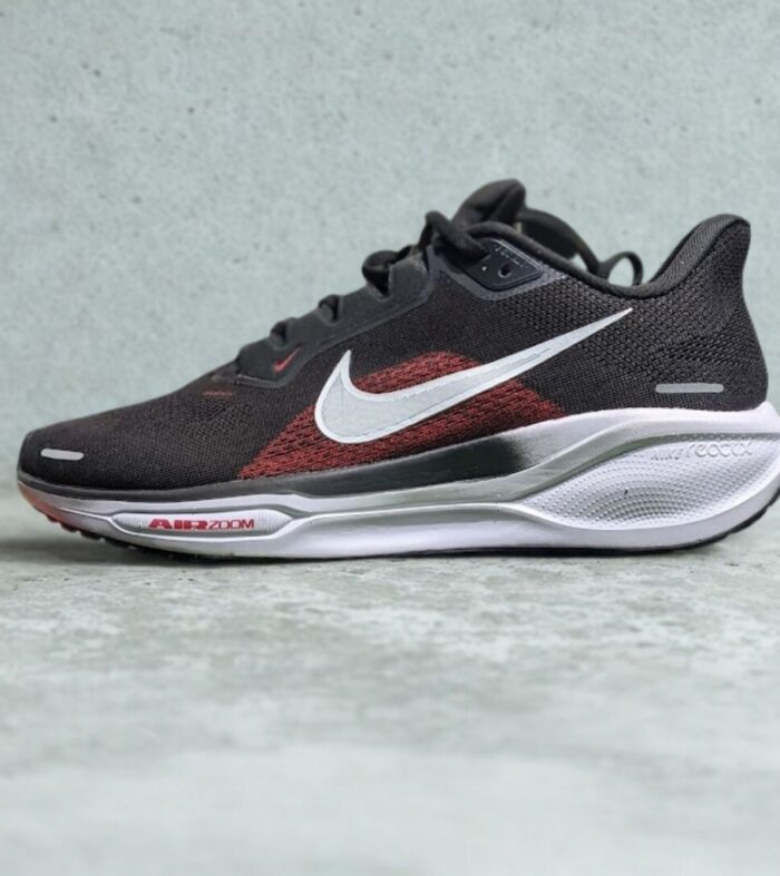 Nike Air Zoom Pegasus 41