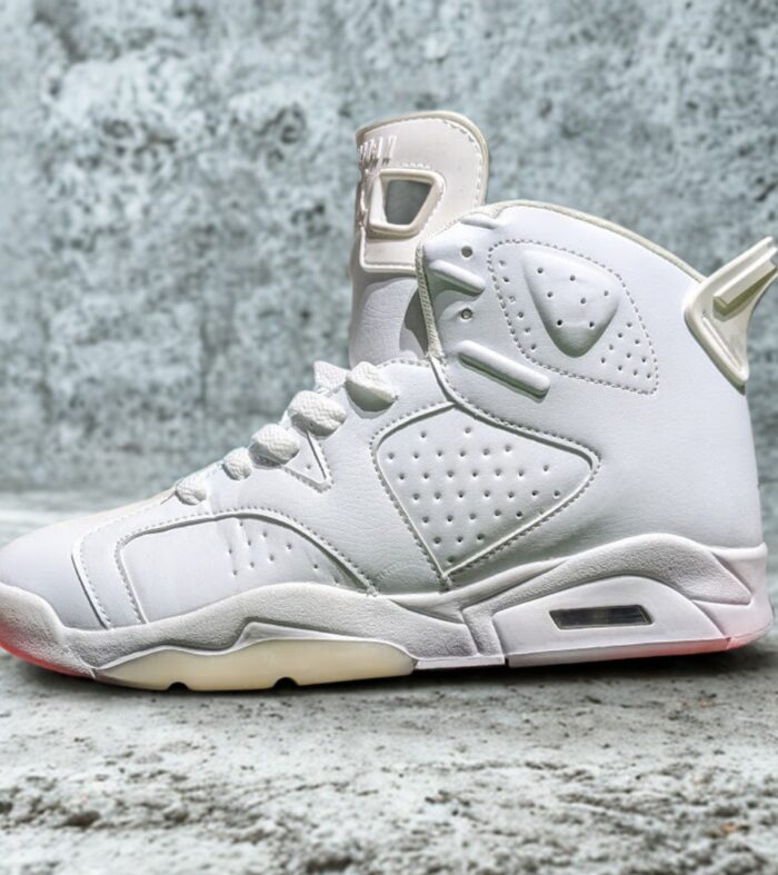 Air Jordan 6 Aleali May